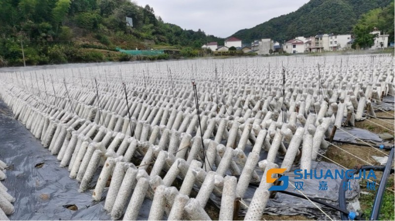 11-22-32-98-283825 (1).jpg